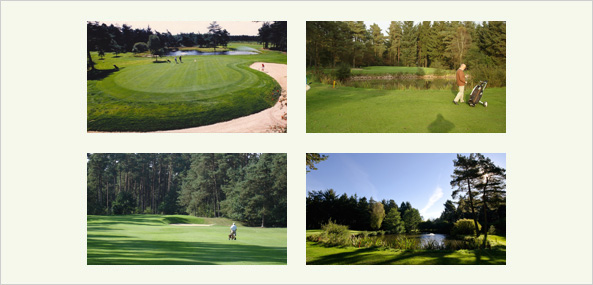 Golf Fernmitgliedschaft im Golfclub Worpswede e.V.